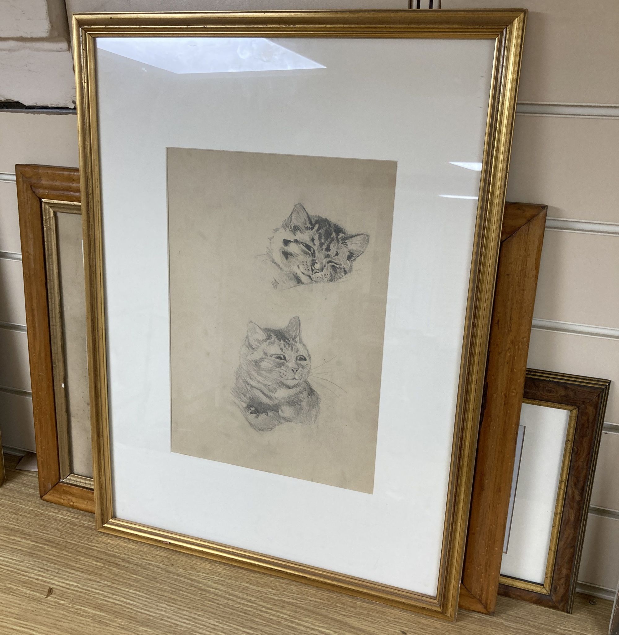 Louis Wain (1860-1939), pencil sketch, Studies of a sleeping tabby cat, further studies verso, Chris Beetles label, 34 x 24cm and 2 col